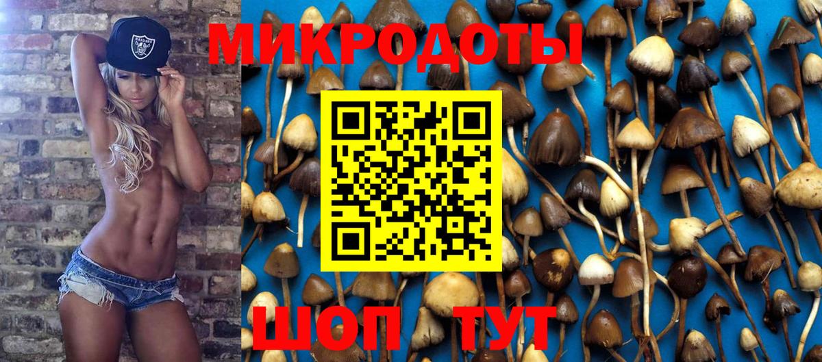 Богородск  Псилоцибиновые грибы мухоморы  Вход с VPN 